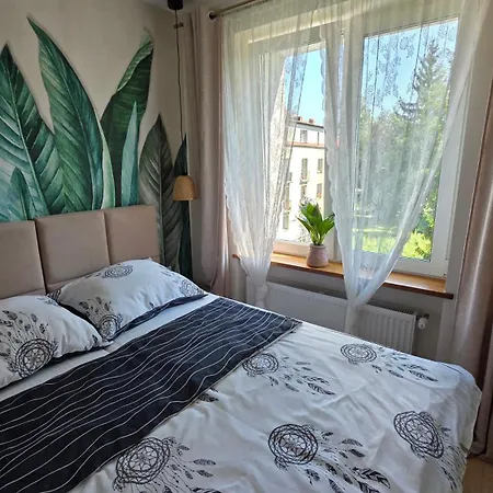 Evergreen * Jelenia Góra