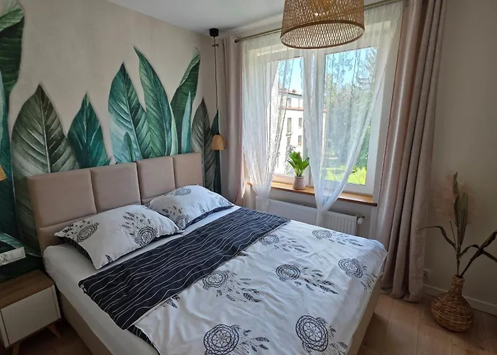 Evergreen * Jelenia Góra