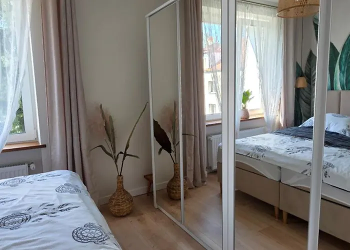 Evergreen * Jelenia Góra