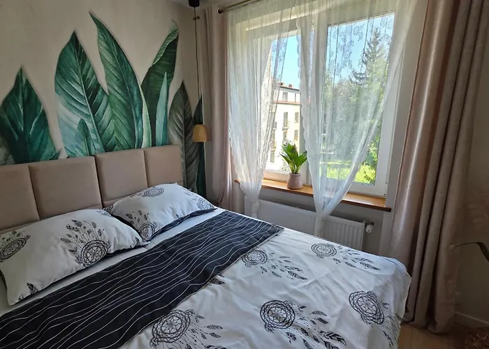 Evergreen * Jelenia Góra